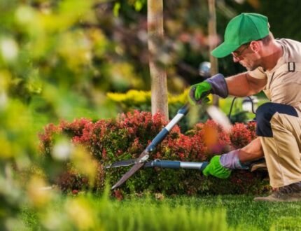 Landscaping