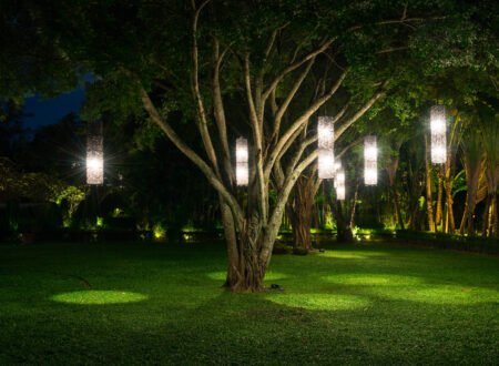 tree with lamp lighting in garden