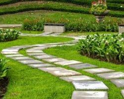 Plant Fixing Services Dubai