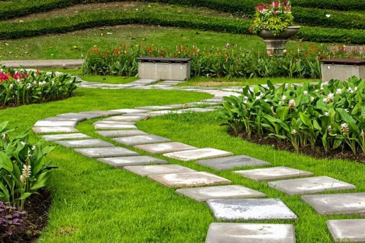 Plant Fixing Services Dubai