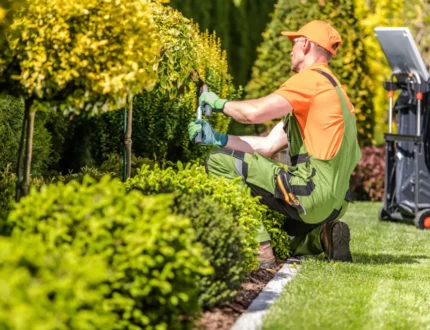 gardening-services-1024x682